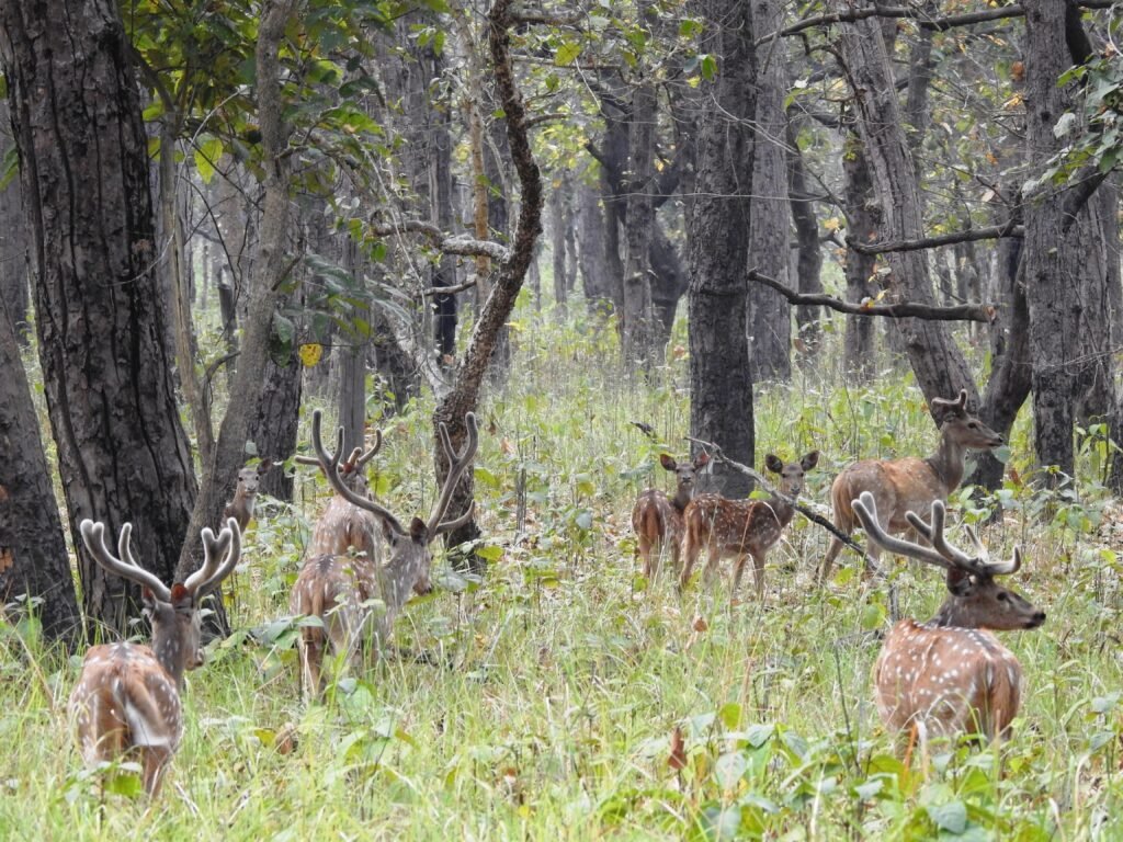 छ महिनामा दुई हजार छ सय पर्यटकले गरे शुक्लाफाँटा भ्रमण